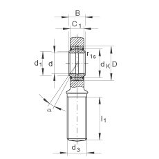 桿端軸承 GAR6-DO, 根據(jù) DIN ISO 12 240-4 標(biāo)準(zhǔn)，帶右旋外螺紋，需維護(hù)