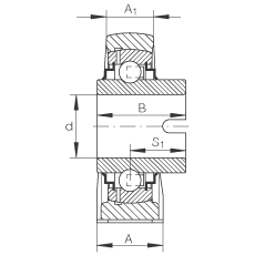 直立式軸承座單元 RASEL20-N, 鑄鐵軸承座，浮動軸承，內(nèi)圈有驅(qū)動槽，R 型密封