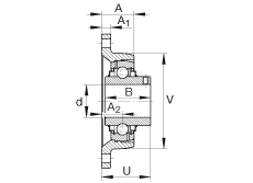 軸承座單元 RCJTY1-1/2, 對(duì)角法蘭軸承座單元，鑄鐵，根據(jù) ABMA 15 - 1991, ABMA 14 - 1991, ISO3228 內(nèi)圈帶有平頭螺栓，R型密封，英制